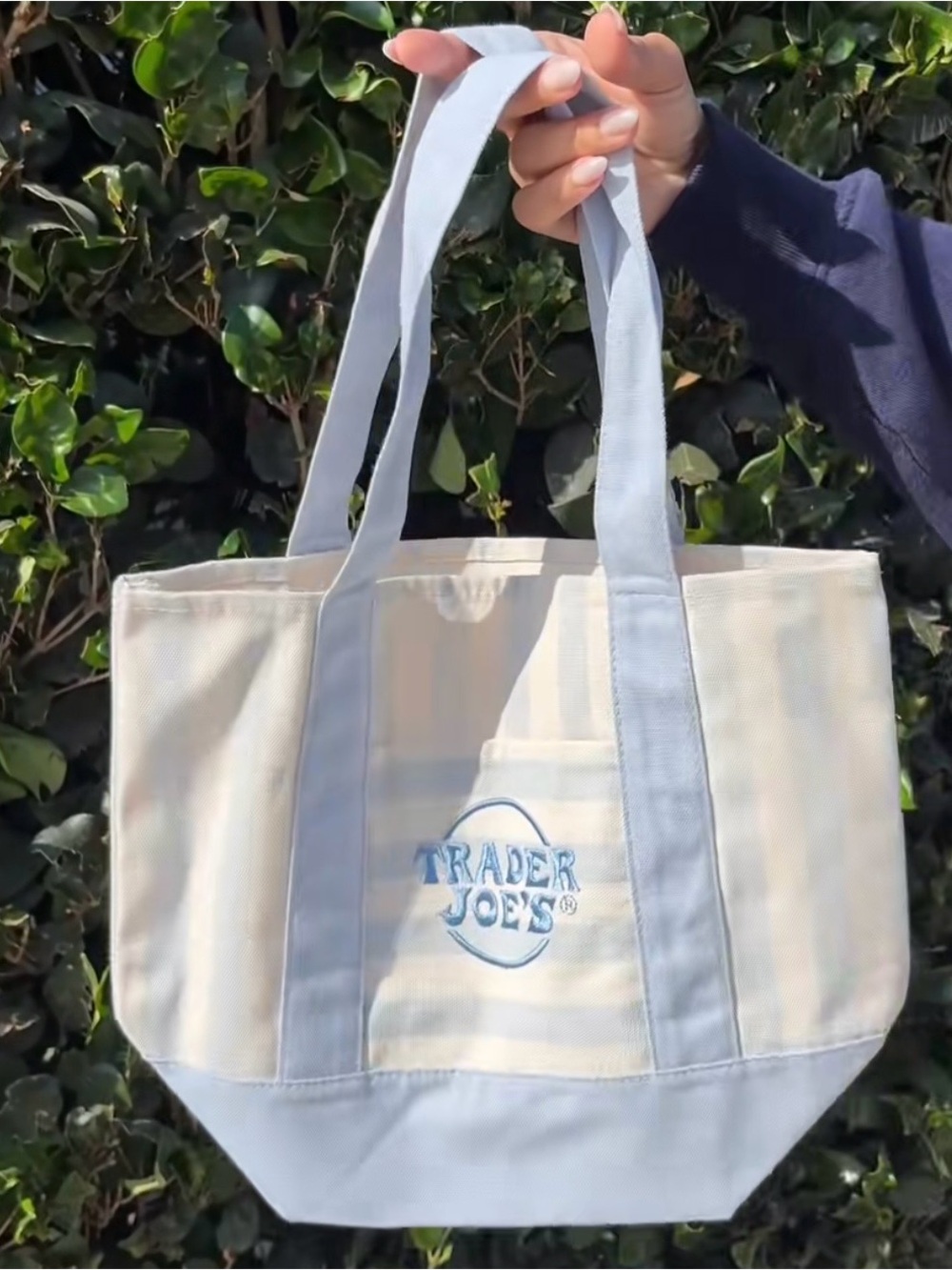 Trader Joe's Cream & Light Blue Canvas Tote Bag